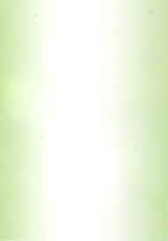 Skyggekarton Lys grøn A4 250 gr